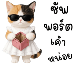 แมวเหมียวมาเฟีย รูปที่ 10