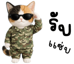 แมวเหมียวมาเฟีย รูปที่ 14
