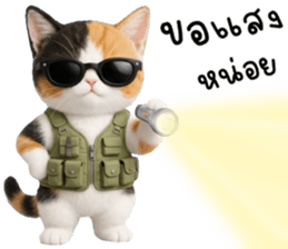 แมวเหมียวมาเฟีย รูปที่ 17