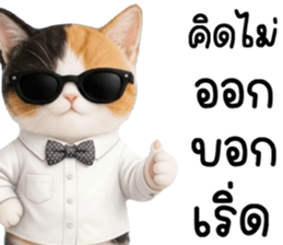 แมวเหมียวมาเฟีย รูปที่ 19