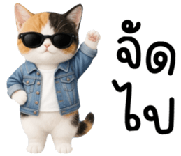 แมวเหมียวมาเฟีย รูปที่ 20
