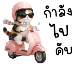แมวเหมียวมาเฟีย รูปที่ 24
