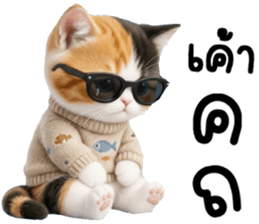แมวเหมียวมาเฟีย รูปที่ 26