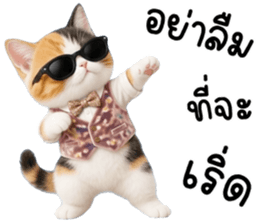 แมวเหมียวมาเฟีย รูปที่ 29