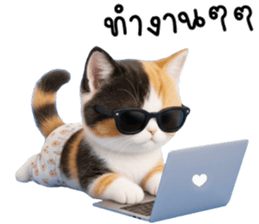 แมวเหมียวมาเฟีย รูปที่ 36