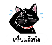 842184438