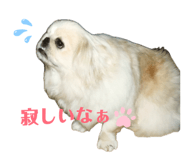 842184506