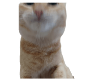 842184639