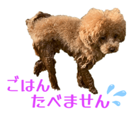 842184909