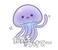 842187269