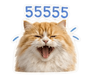 842192699
