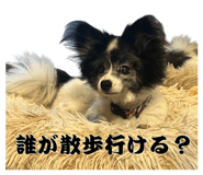 842193196