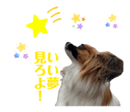 842193965