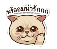 842202137