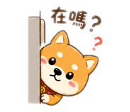 842203611