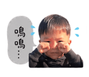 842203670