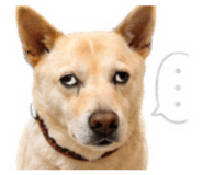 842204085