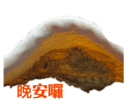 842204275