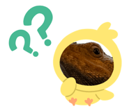 842204285