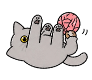 842204377