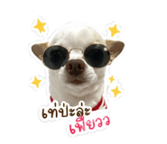 842205313