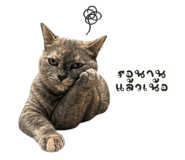 842206001