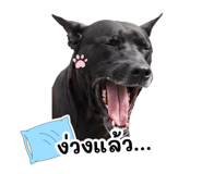 842206036