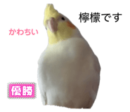 842206108