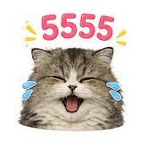 842206143