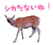 842206199