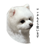 842206329