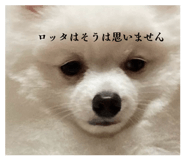 842206330