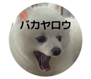 842206333