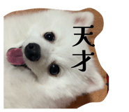 842206334