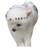 842206336