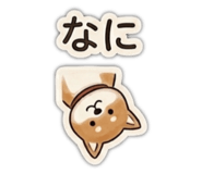 842207277