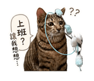 842214358