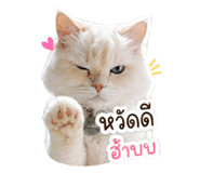842215801