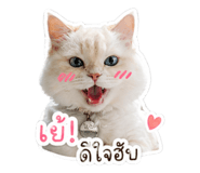 842215802
