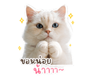 842215804