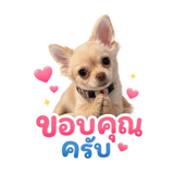 842215949
