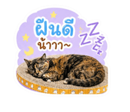 842216630