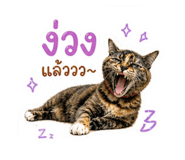 842216631