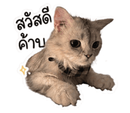 842216937