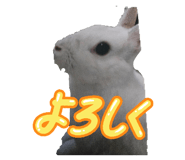 842217760