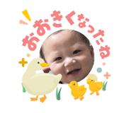 842218040