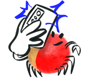 842228348