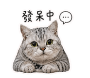 842235611