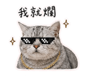 842235612