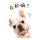 842235880